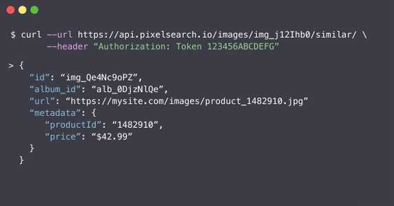 A terminal displaying a code snippet
